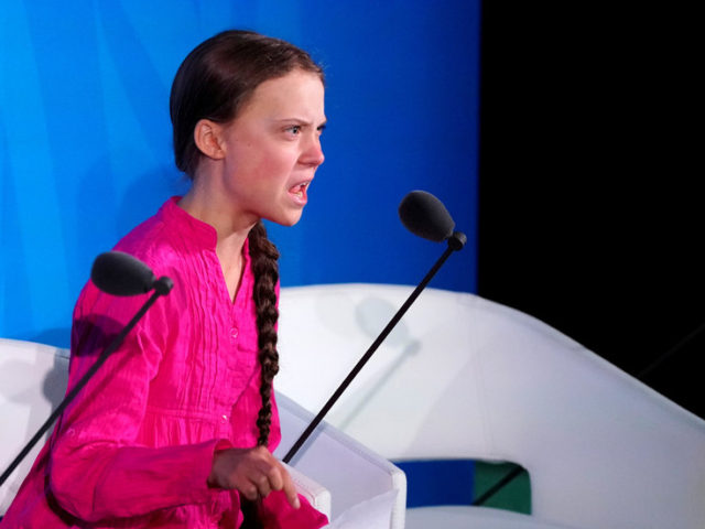 ‘This w**re!’ Italian football coach fired for abusing climate activist Greta Thunberg