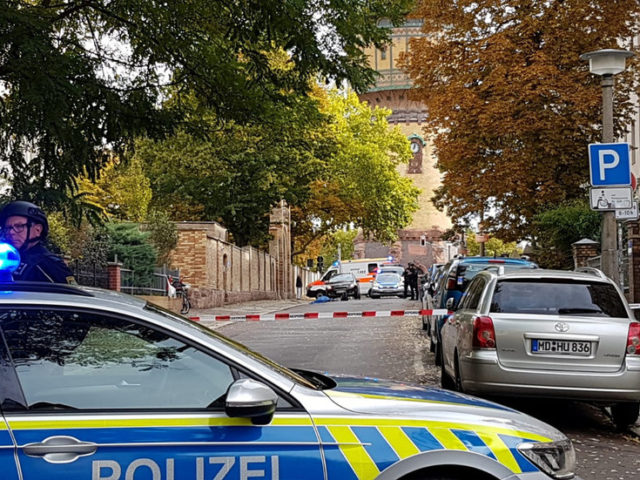 Attackers wore combat-style clothing, had several weapons – eyewitnesses to shooting outside German synagogue (PHOTOS)