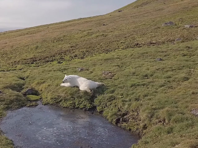 No warplanes or tanks: Russian military releases RELAXING VIDEO from picturesque Arctic archipelago
