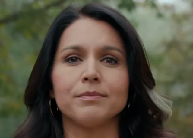“Toe The Line Or Be Destroyed”: Tulsi Gabbard Dismantles Establishment ‘Hit-Job’ In Viral Video