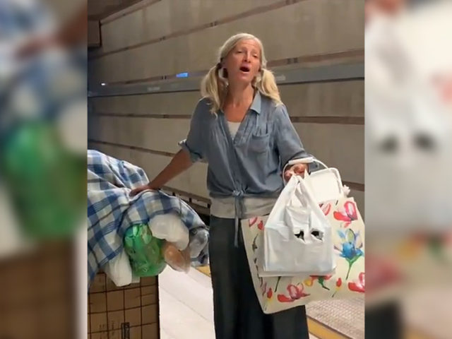 Homeless subway soprano: Incredible LA Metro singer in VIRAL VIDEO turns out to be Russian musician