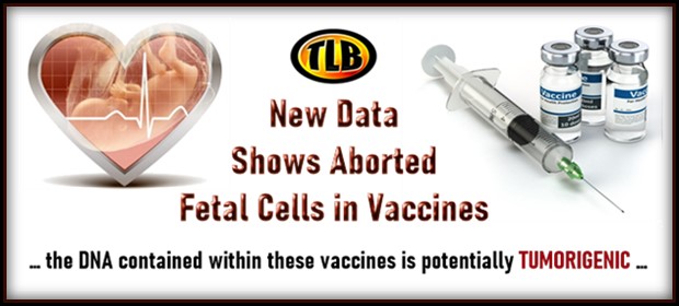 New Data Shows Aborted Fetal Cells in Vaccines