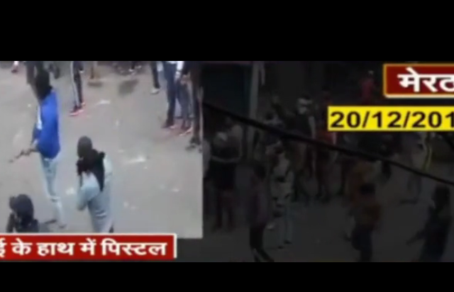 Indian police release VIDEO of people brandishing GUNS during protests against citizenship law