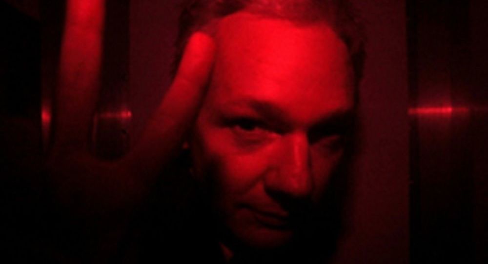 Julian Assange V