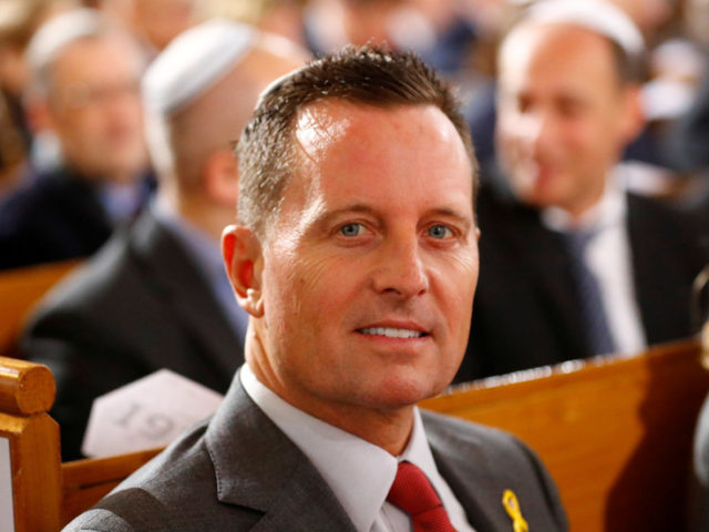 Acting DNI chief Grenell ‘was taking orders’ from Trump when he sought to secure Assange’s arrest, leaked call suggests