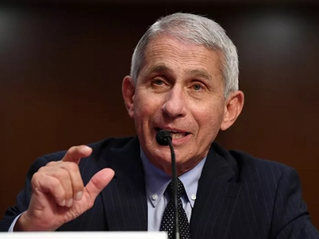 Fauci Says US ‘Needs to Keep Eye’ on New Swine Flu in China to Avoid COVID-19 Pandemic Scenario