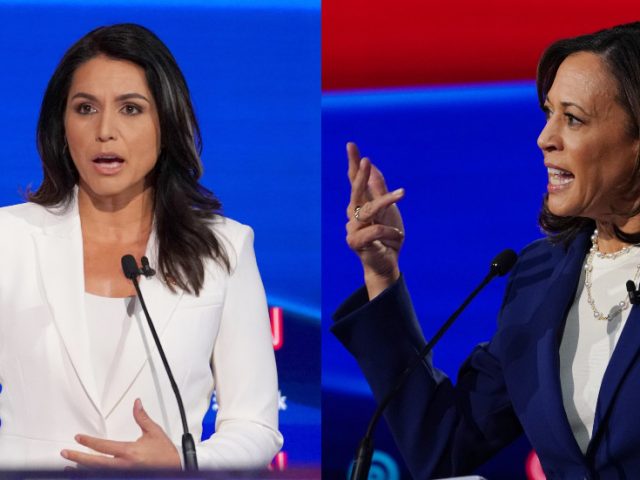 Kamala Harris got ‘destroyed’ by Tulsi Gabbard in Democrat debates, dropped out before primaries – and now might be president