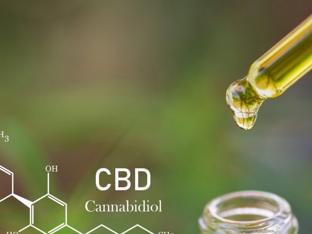 Cannabis to the rescue? New research suggests CBD oil may protect against Covid-19 lung damage