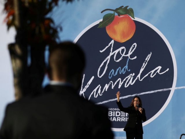 ‘Who said she had our vote?’ Liberals OUTRAGED that undecided black voters won’t automatically back Kamala Harris