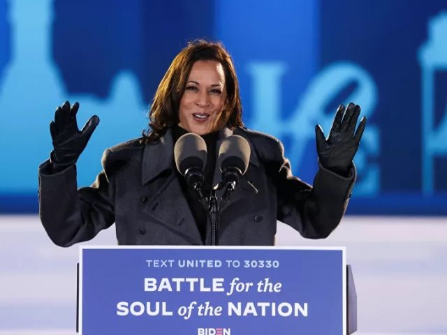 Video: Kamala Harris Goes Viral After Telling Her Grandniece ‘You Could Be President’