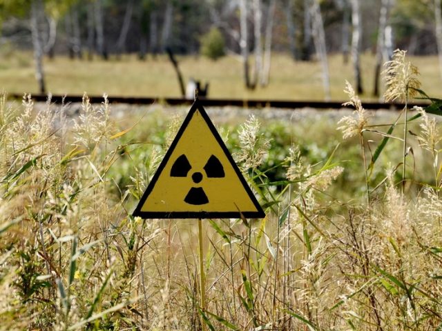 Radioactive shrooms?! Ukraine arrests two men for picking bucketloads of fungi in Chernobyl’s nuclear exclusion zone