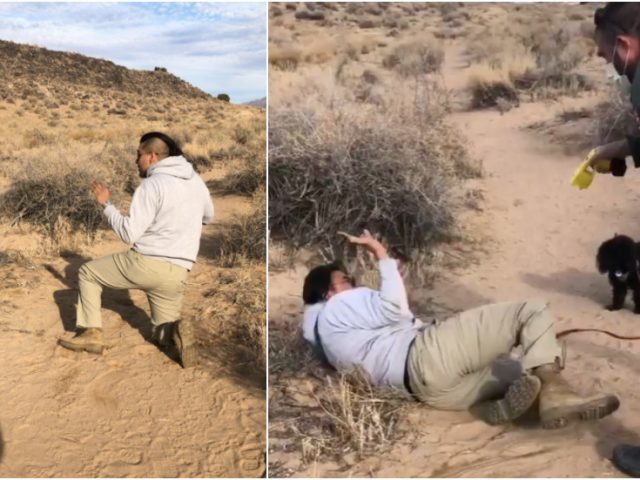 Native American man TASERED by New Mexico park ranger while walking ‘off trail’ at ancient Pueblo monument (VIDEO)