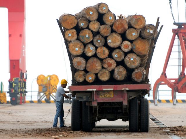 ‘Pests in cargoes’: China suspends timber imports from 2 more Australian states