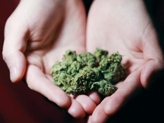 Gateway to sobriety? Cannabis could reduce fentanyl use and overdose risk, new study finds
