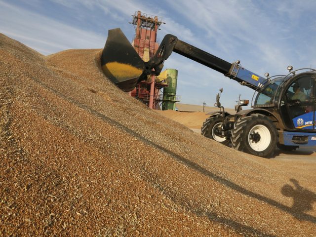 Sales of Russian wheat keep surging amid gloomy export forecasts