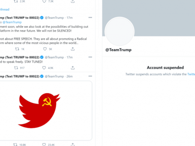 Twitter bans Trump campaign account as Reddit & Discord join Big Tech drive to purge president & supporters from online platforms