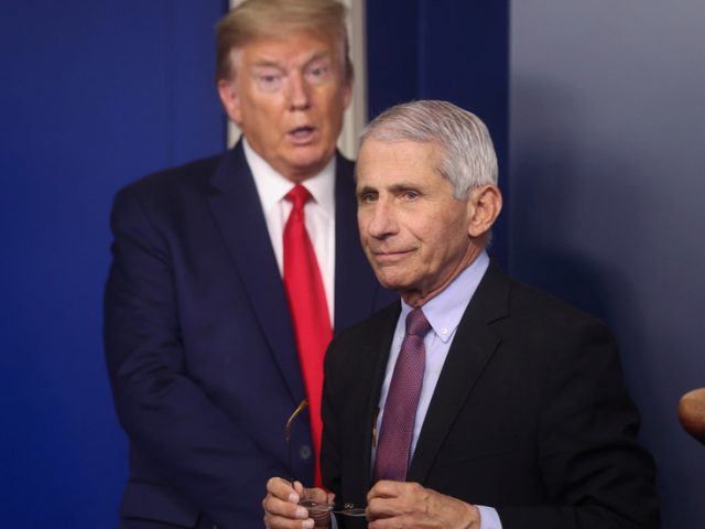 ‘Those are real numbers!’ Fauci clashes with Trump over Covid cases data, as virus fuels political divide
