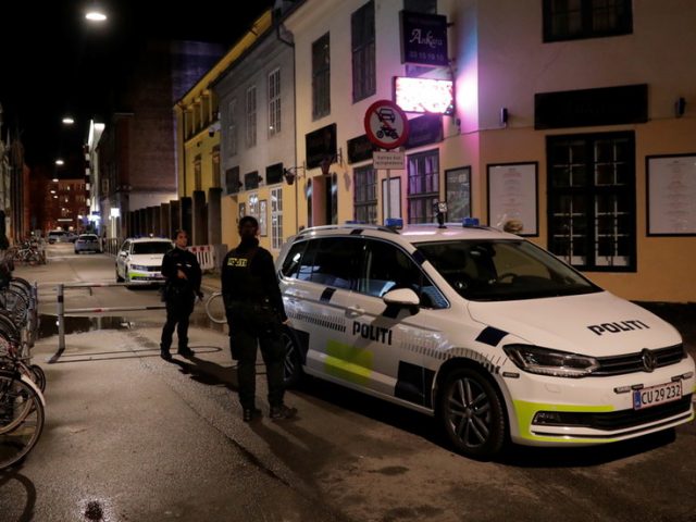 14 people arrested in Denmark and Germany over terrorist plot, as weapons, bomb ingredients & Islamic State flag seized