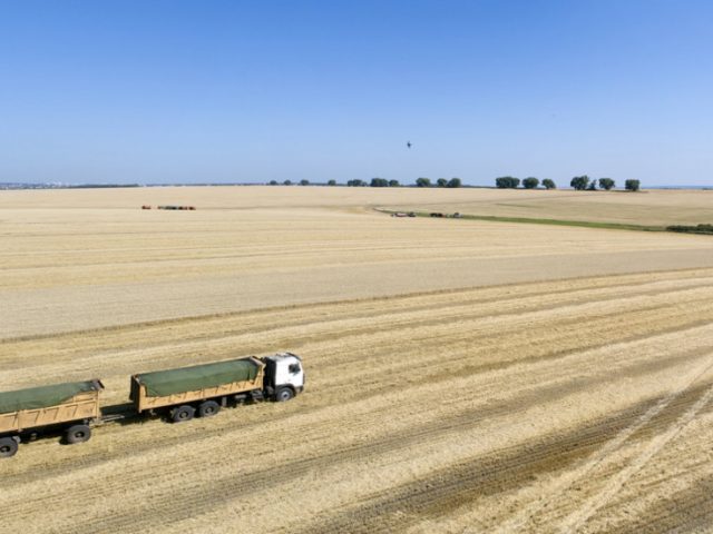 Russia doubles wheat export tax to stabilize domestic food prices