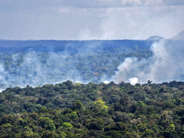 Amazon rainforest now most likely warming Earth’s atmosphere, not cooling it, scientists warn