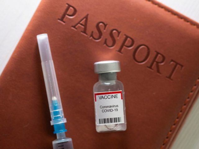 Vaccine passports for cross-border travel take off in Europe as US looks ‘very closely’ at concept, but promises ‘no mandates’
