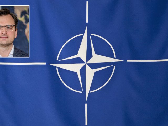 Frustrated Ukrainian Foreign Minister claims NATO has refused to take ‘a single step’ towards allowing Kiev join bloc since 2008