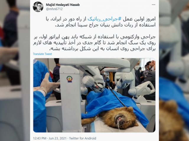 First remote surgery conducted by indigenous technology in Iran with dog as trialist (PHOTOS)