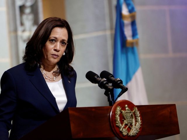 ‘Go home’: Kamala Harris greeted in Guatemala by protesters as country’s president blames US for border crisis (PHOTOS)