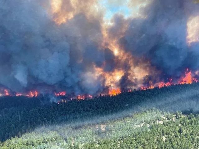 ‘Whole town is on fire’: Canadian village evacuated as flames consume homes and cars after record 49.6C temperature (VIDEOS)