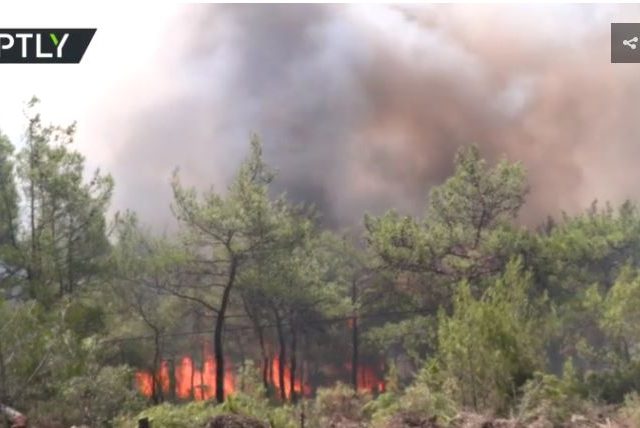 New wildfires erupt in Turkey threatening resort town Bodrum as Erdogan suspects SABOTAGE & vows to rebuild within a year (VIDEOS)
