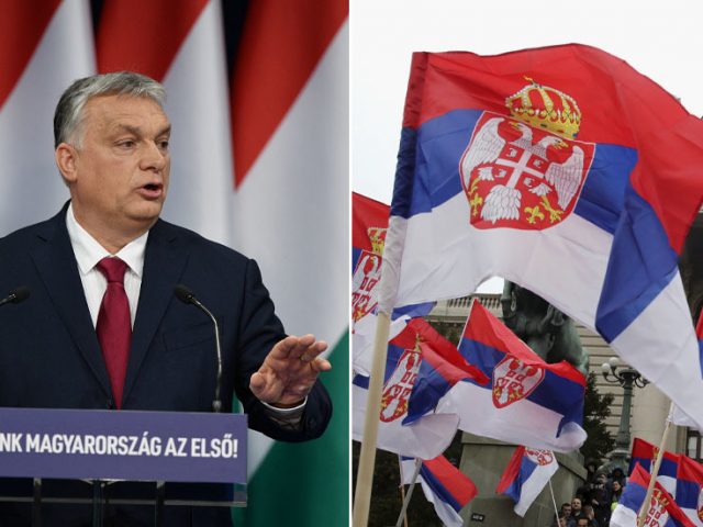 Hungary and Serbia will ‘rebuild’ Central Europe and ‘protect’ it from waves of immigration – Orban