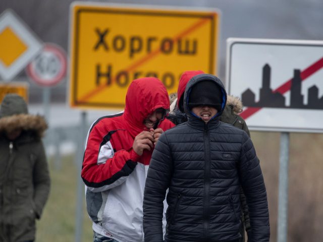 Hungary breached law with asylum seekers policy – EU top court