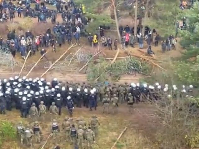WATCH: Migrants fell trees to breach Poland-Belarus border fence