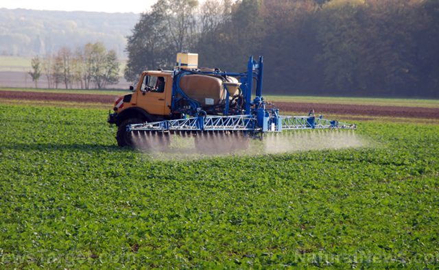 Shortage of key fertilizer ingredient threatens Aussie food supply chain