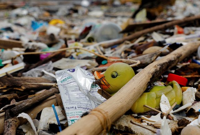 Nature creates plastic-eating bugs to save itself from pollution – study