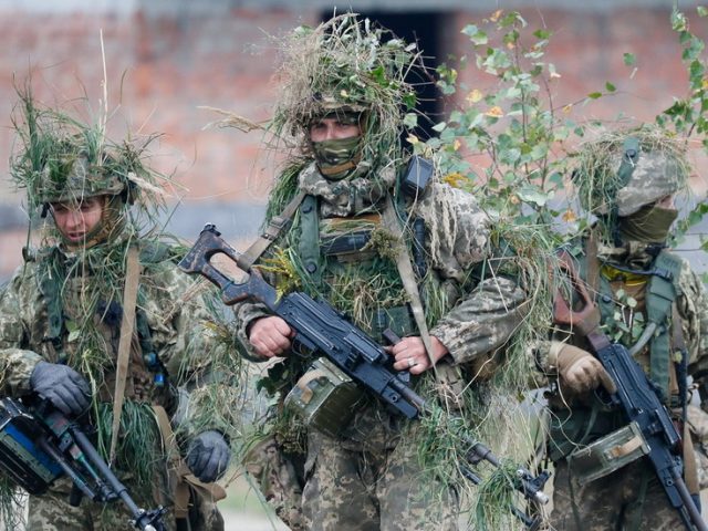 Ukraine asks for weapons meant to fight Taliban – report
