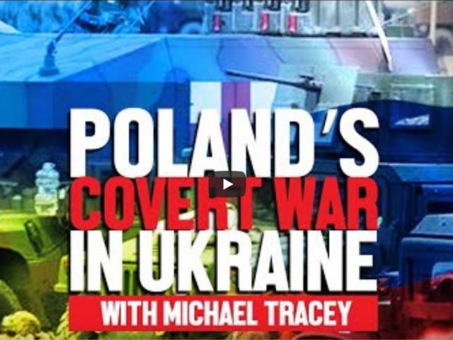 Poland’s Covert War on Ukraine w/Michael Tracey