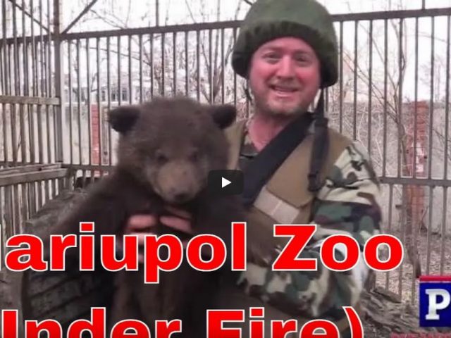 Mariupol Zoo Under Fire: Russia – Ukraine War