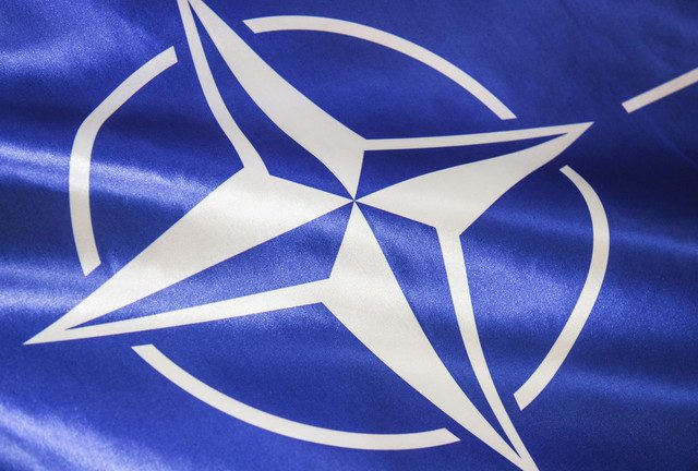 NATO member blocks Sweden and Finland’s accession talks – media