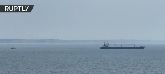 WATCH first ship with Ukrainian grain depart after landmark deal