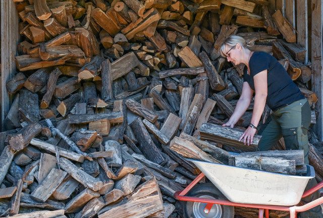 German firewood prices skyrocket – data