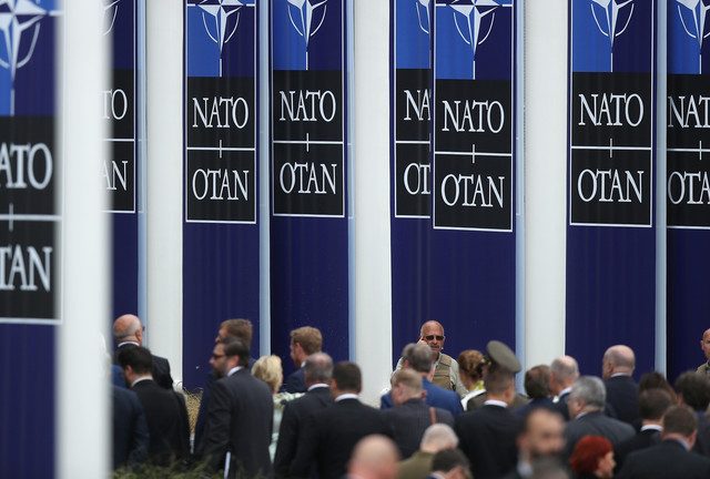 NATO ‘not obliged’ to assist Ukraine — German ambassador