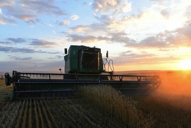 Record grain harvest predicted for Russia