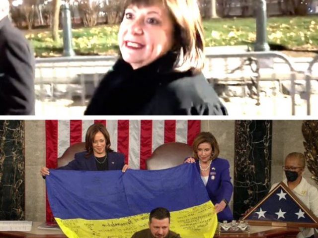 Zelensky’s diaspora delegation led by economic hit-woman who led plunder of Ukraine