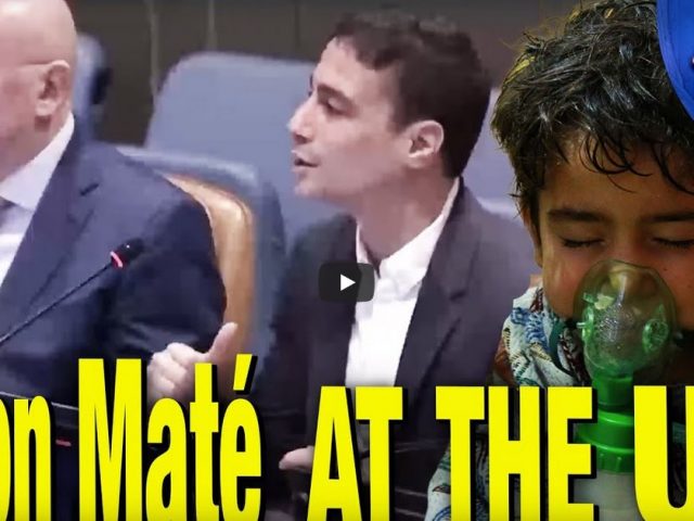 Aaron Maté Debunks Syrian Gas Attack Coverup At The UN