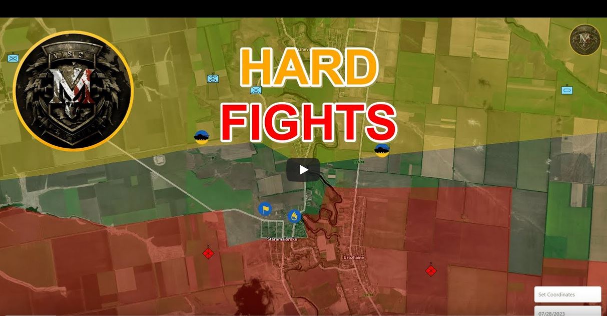 MS hard fight