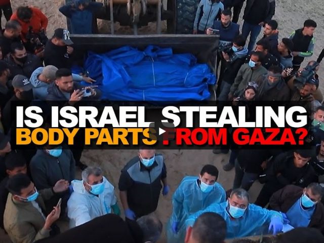 Is Israel stealing body parts from Gaza casualties?