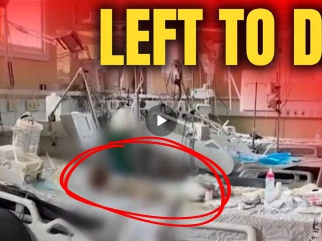 Dead Babies Discovered in Gaza Hospital, After Israel Forbid Evacuation of Newborns