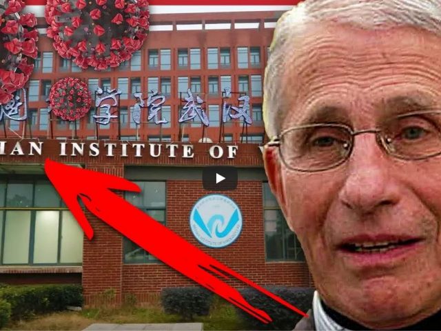 “I don’t recall” Dr. Fauci SUDDENLY can’t remember anything | Redacted w Natali & Clayton Morris
