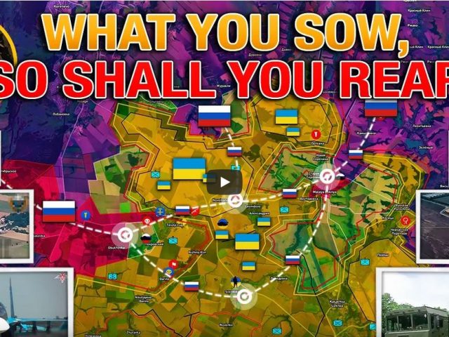 Harvest Time🔥 Vuhledar Is Done🎖 Ukrainsk Cauldron🎖 Lyubimovka Collapsed🎖 Military Summary 2024.09.14